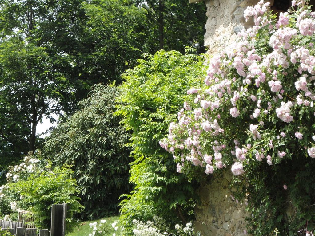 Un Gite De Charme En Haute Provence Villa Sigoyer  ห้อง รูปภาพ