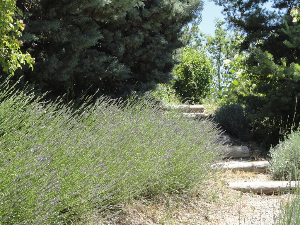 Un Gite De Charme En Haute Provence Villa Sigoyer  ห้อง รูปภาพ