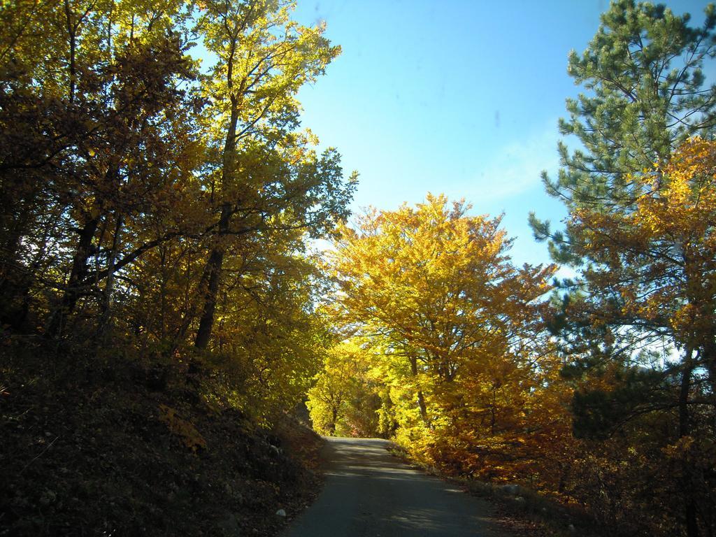 Un Gite De Charme En Haute Provence Villa Sigoyer  ห้อง รูปภาพ