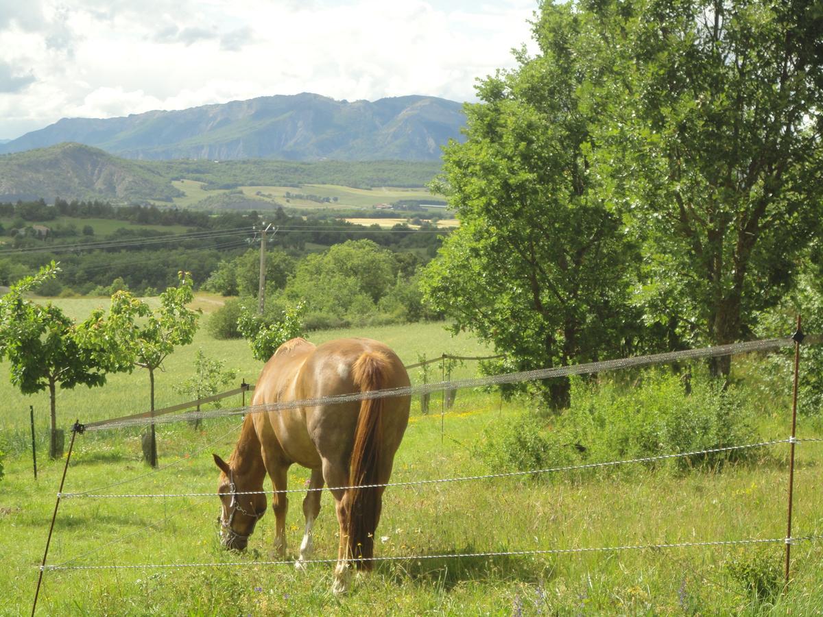 Un Gite De Charme En Haute Provence Villa Sigoyer  ภายนอก รูปภาพ